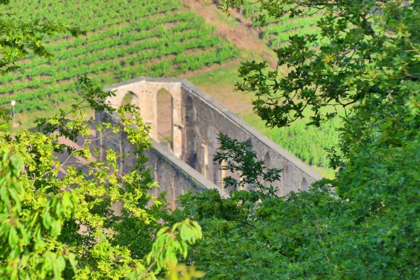 Haus Budinger - foto 6