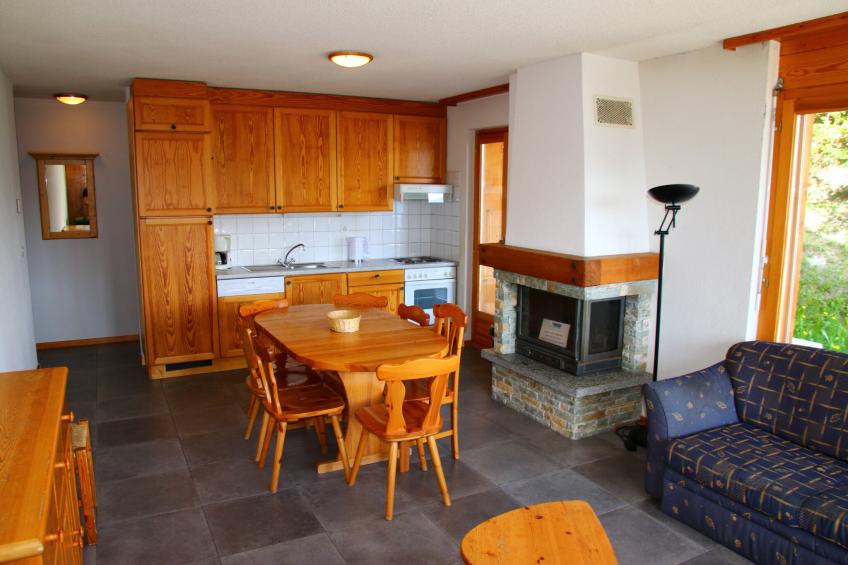 Mayens de l'Ours AZ 013 - MOUNTAIN apartment 8 p - foto 17