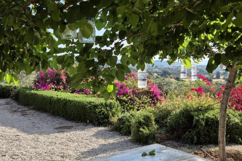 Villa Newlands, Porto Cheli - Meer und Berge. - foto 12