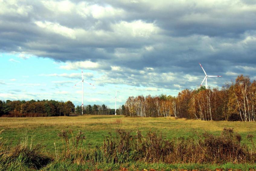 vakantiehuis Partwitz, Elsterheide - foto 11