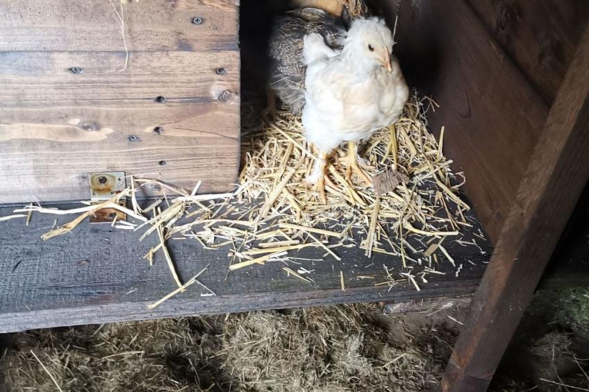 für 8 Personen - foto 46