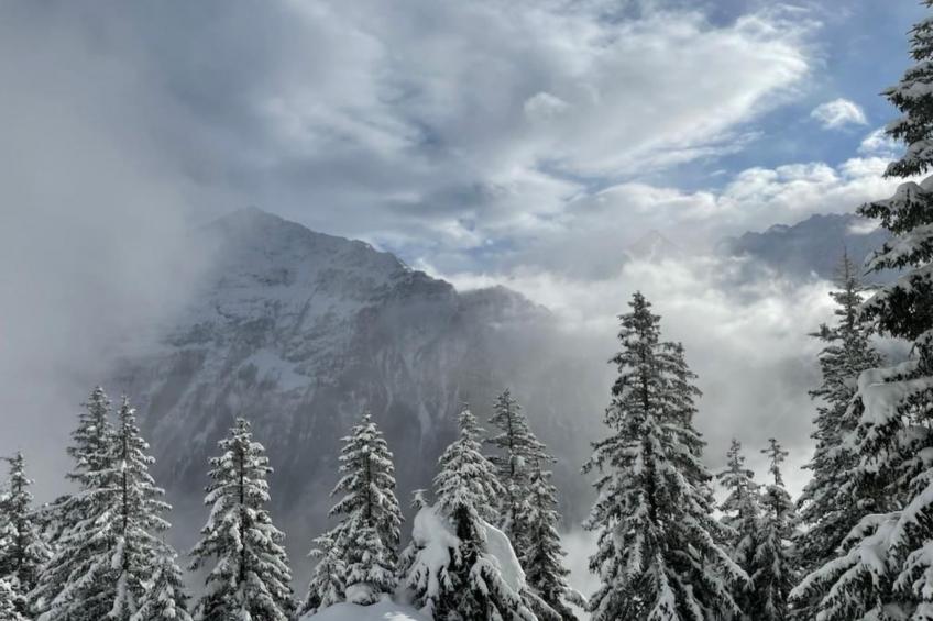 Chalet Bergruh - foto 46