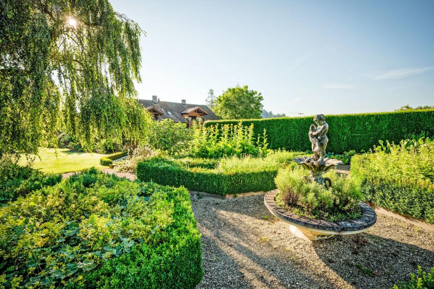 Hirschen Erlinsbach - foto 11