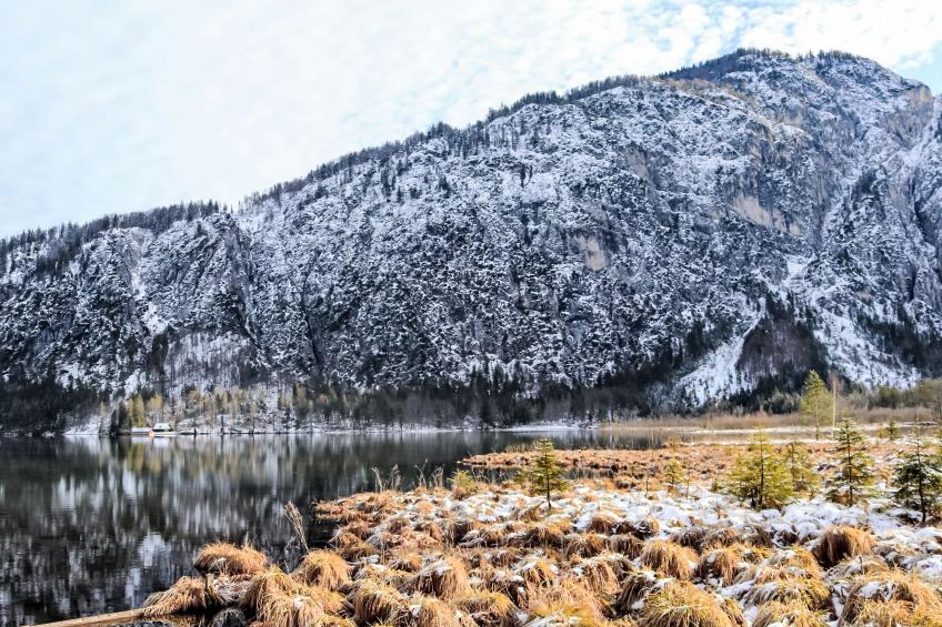 Spatzennest - foto 30