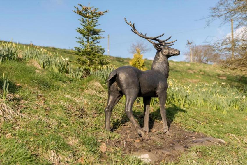 FLAT 4- GROVE APARTMENTS - foto 38