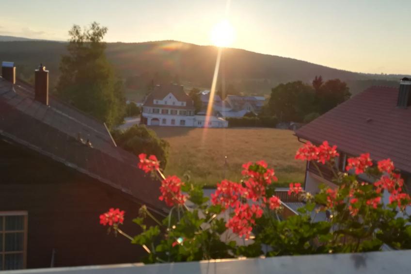 in Haidmühle mit Großem Garten - foto 15