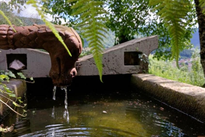 in Ventron mit eingezäuntem Garten - foto 23