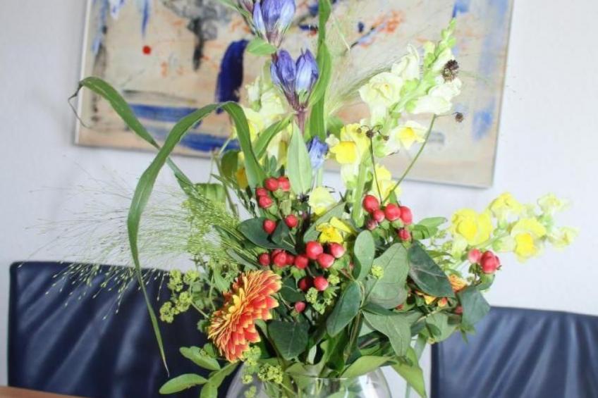 Gemütliche Wohnung in Wernigerode mit Garten - foto 13