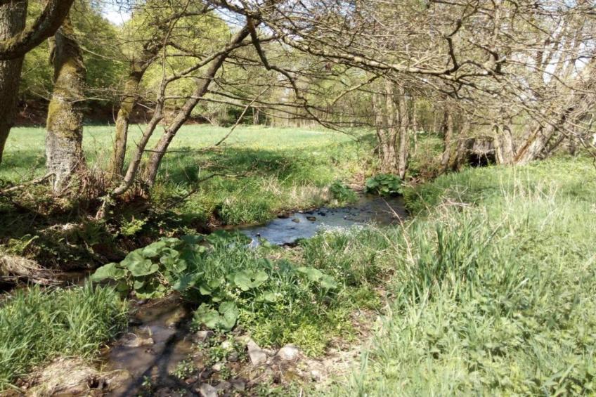 Am Ferienhof - foto 35