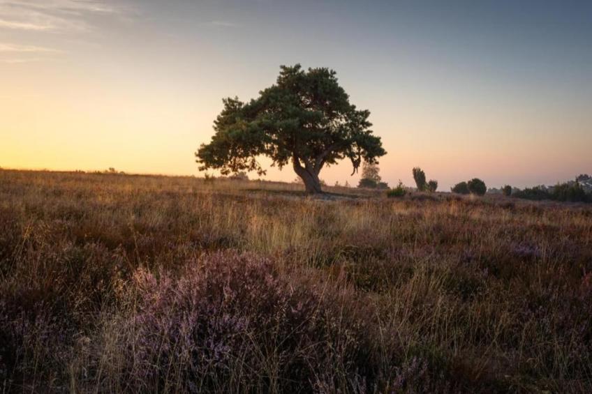 Buitenplaats Gerner 7 - foto 35