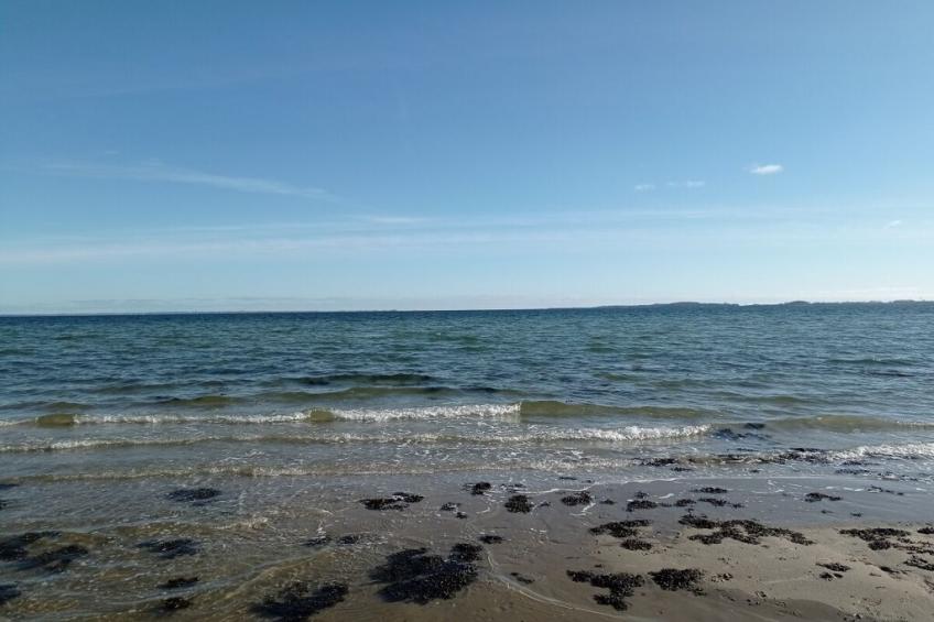 756788 - foto 26