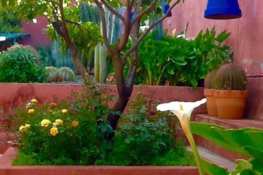 Finca mit Garten, Grill und Terrasse - foto 5