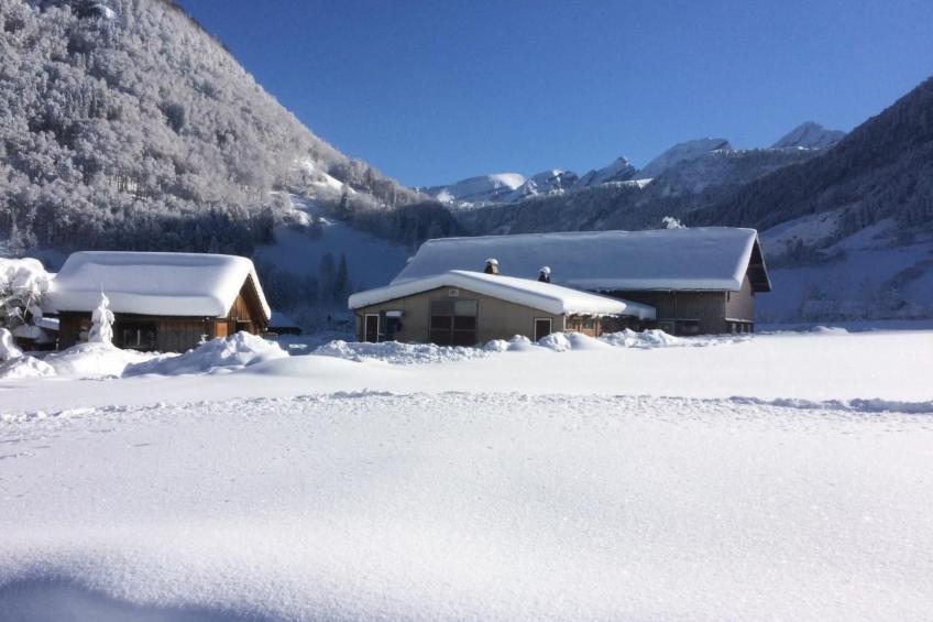 Wis (Stein) - foto 12