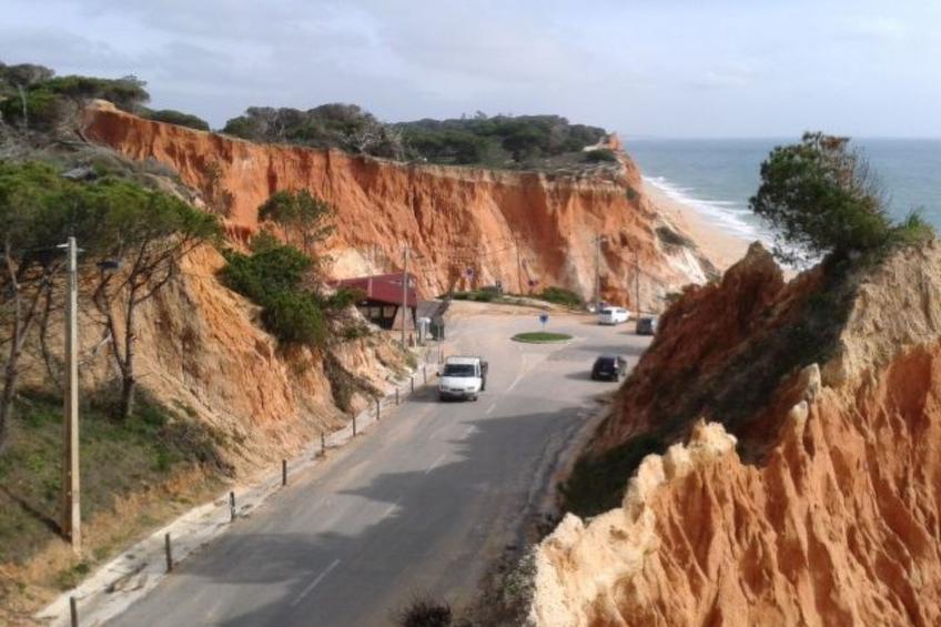 Pine Sun Park - foto 26