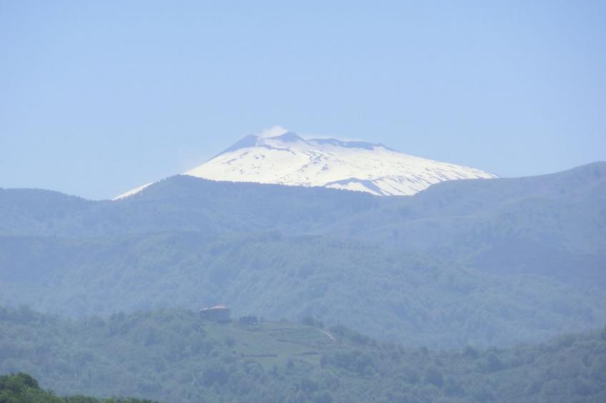 246586 - foto 25