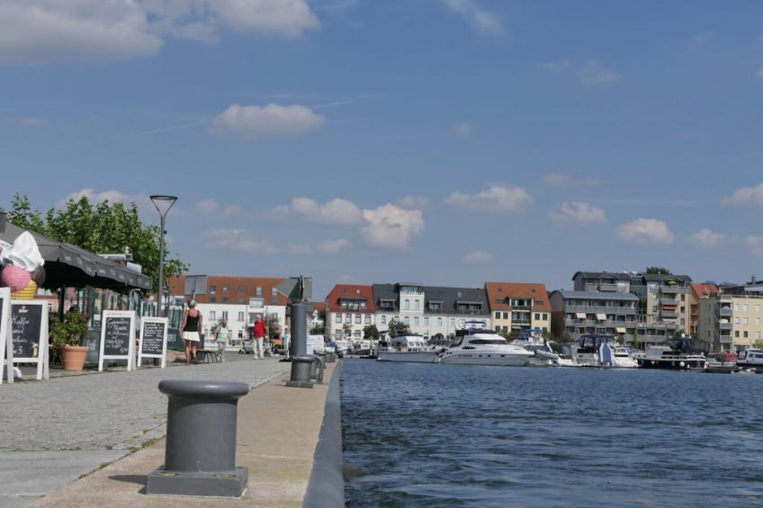 76185 - foto 3