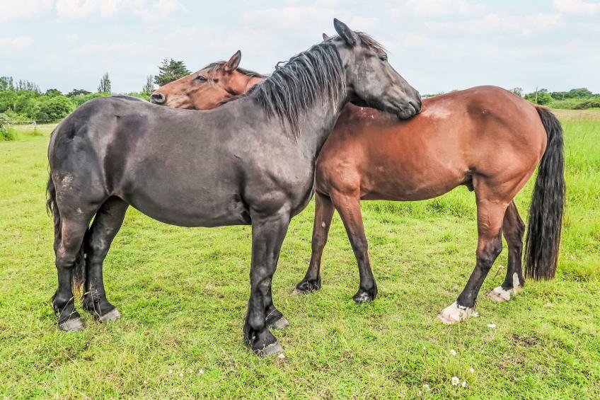 Belle Vue Mer - foto 31