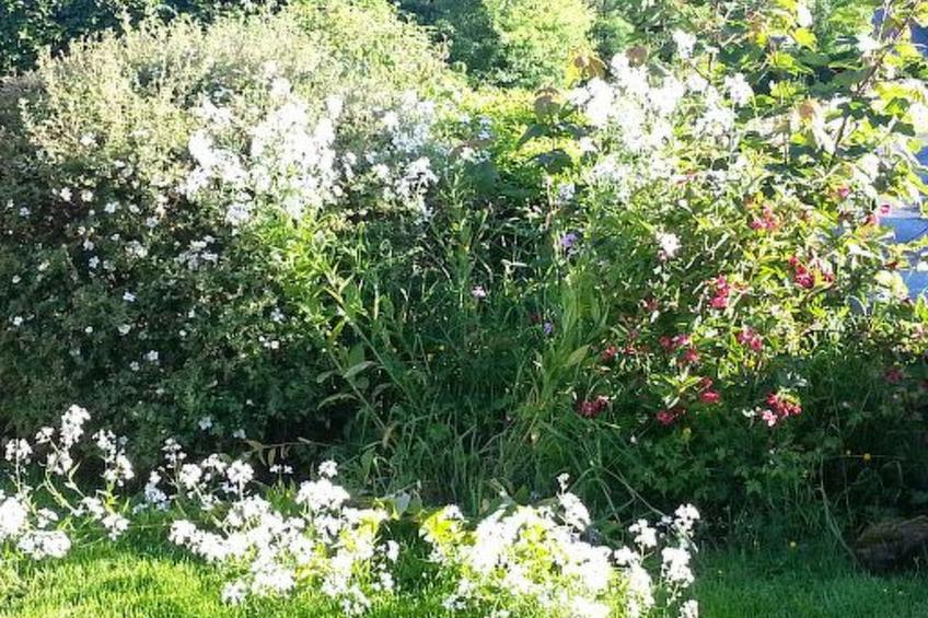 Cottage "James Tymon" mit Terrasse und Garten - foto 20