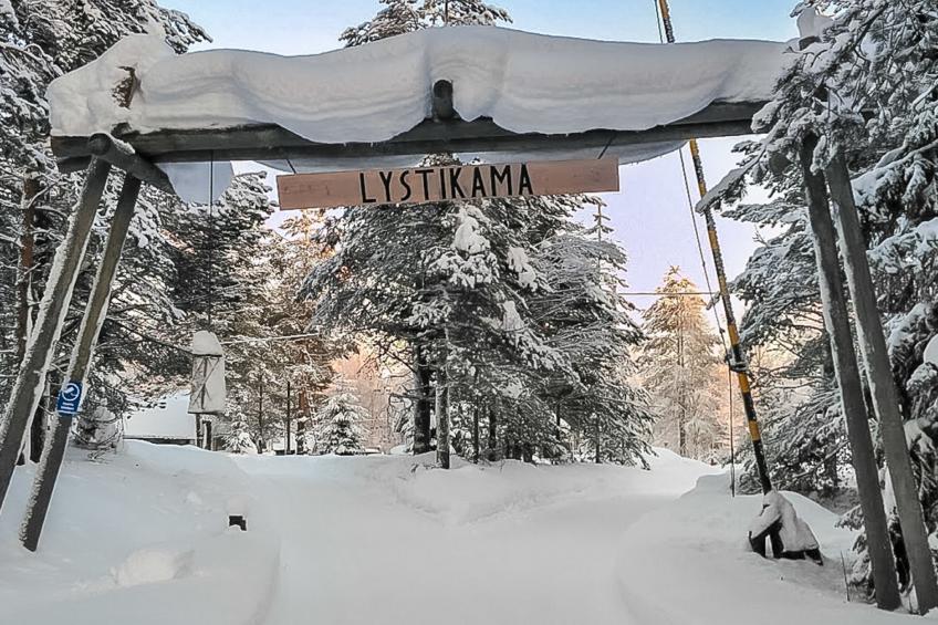 Lystikämän tupa - foto 11