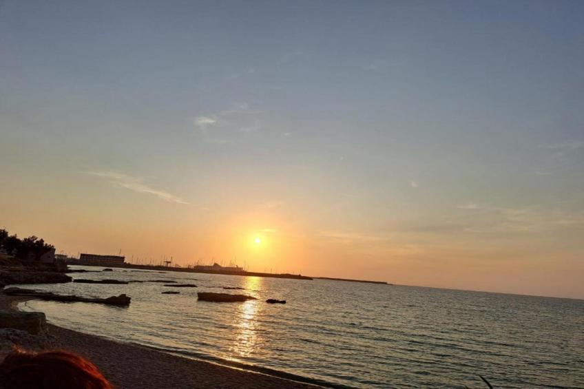 IL DELFINO - foto 23