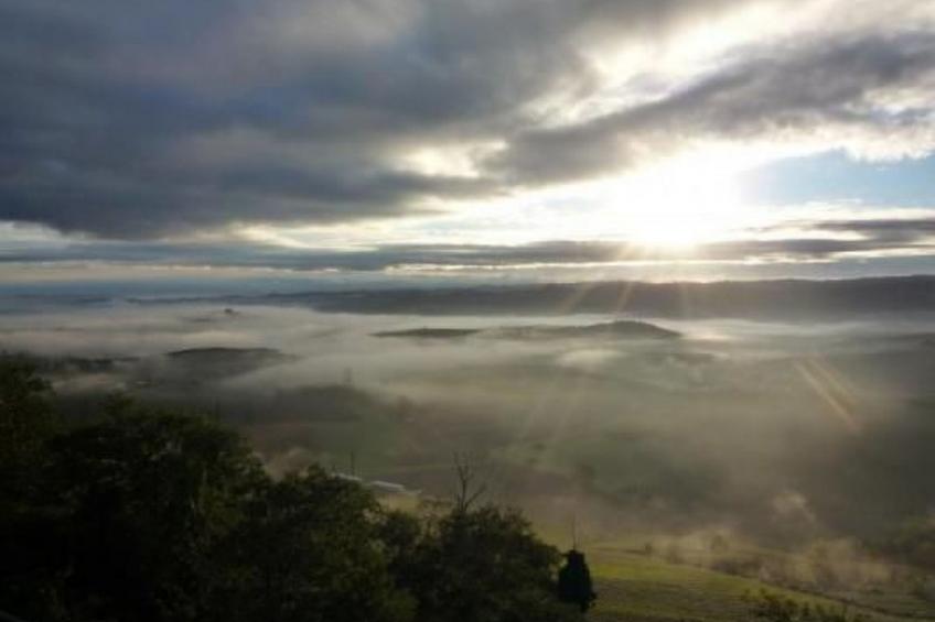 Wohnung in Verduno mit Garten - foto 14