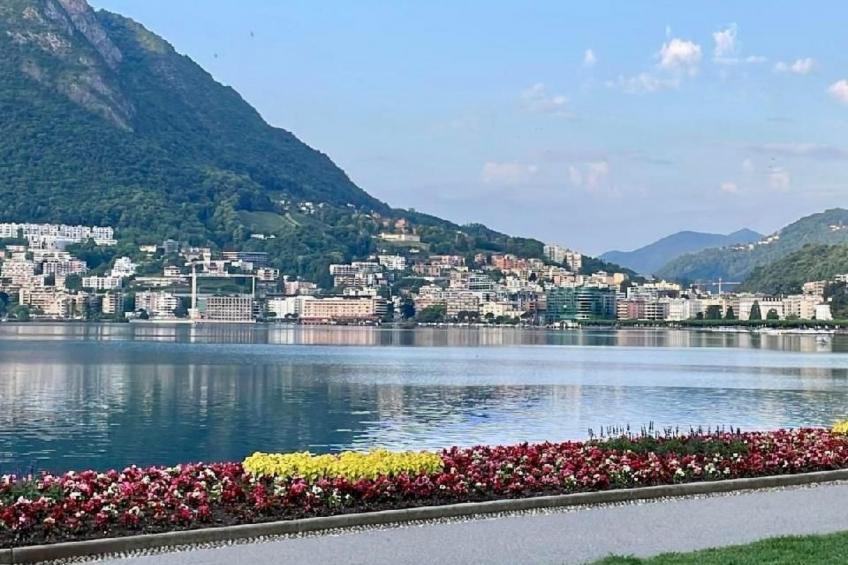 mit Bergblick - foto 58