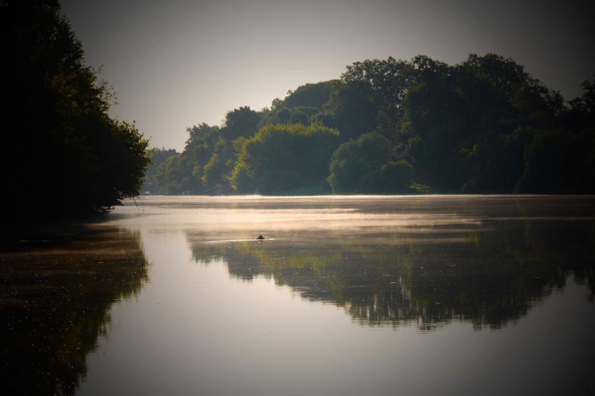 Schloss mit Überlaufpool an der Dordogne - foto 38