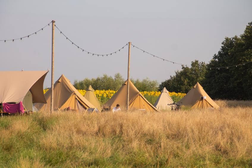 Pop-up glamping: Buurvrouws' Belltentje | 2-4 pers. - foto 8