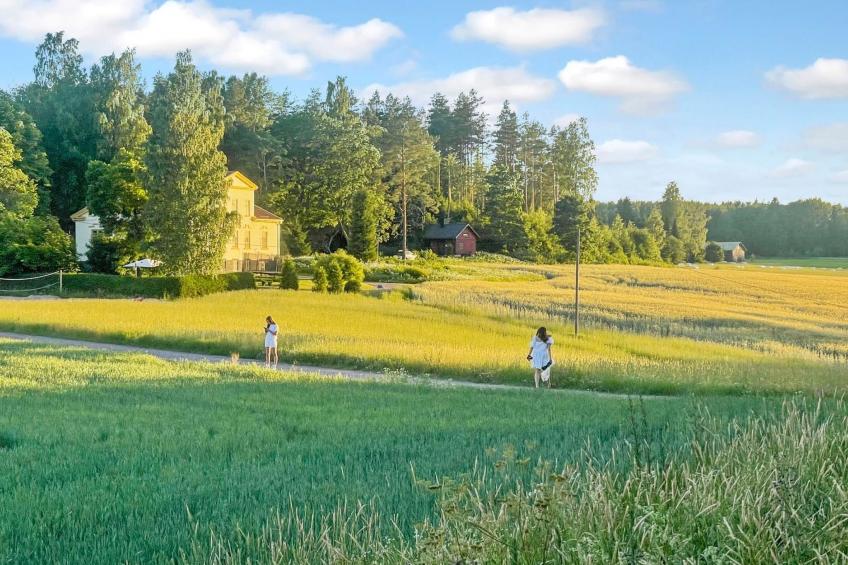 Peltosirkku, seeteri - foto 41