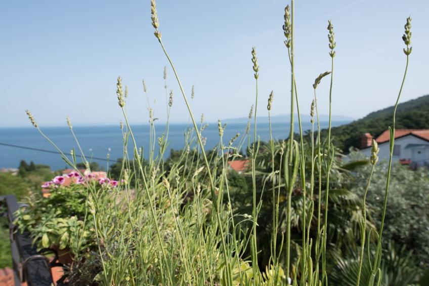 Stylish Lovran Sea View Apartments - Studio Apartment with Balcony and Sea View - foto 17