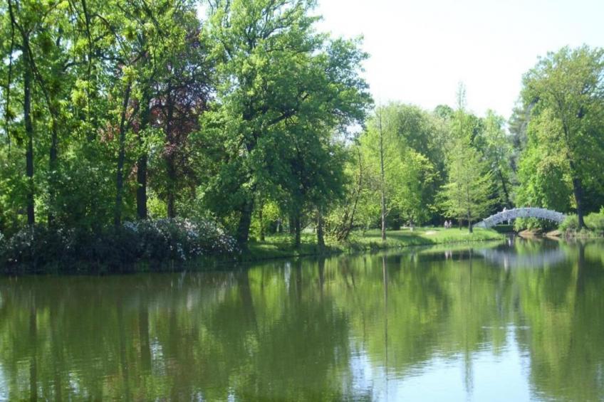 Apartment Eilenburg - foto 21