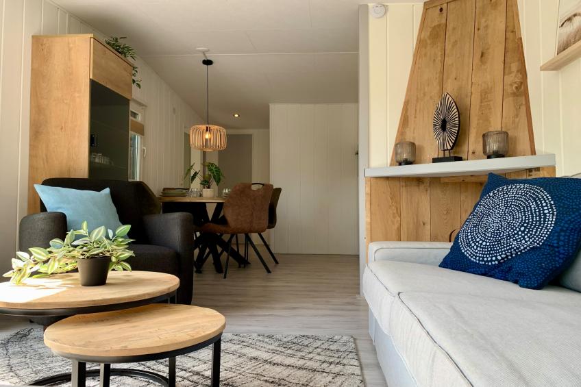 Campanula 211 - foto 9