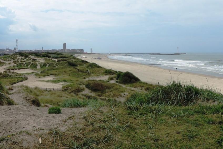 100809 - foto 29