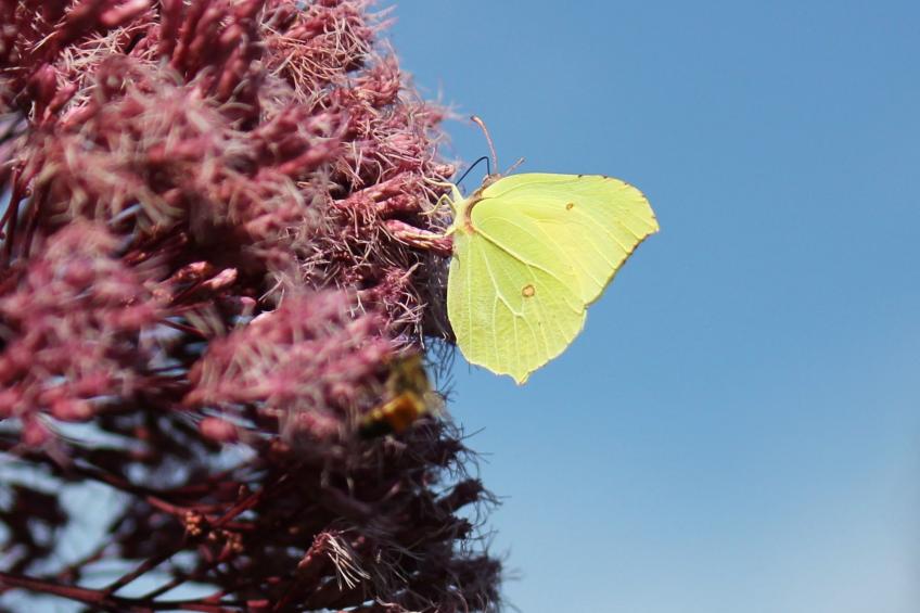 Appartement mit Wallbox - foto 42