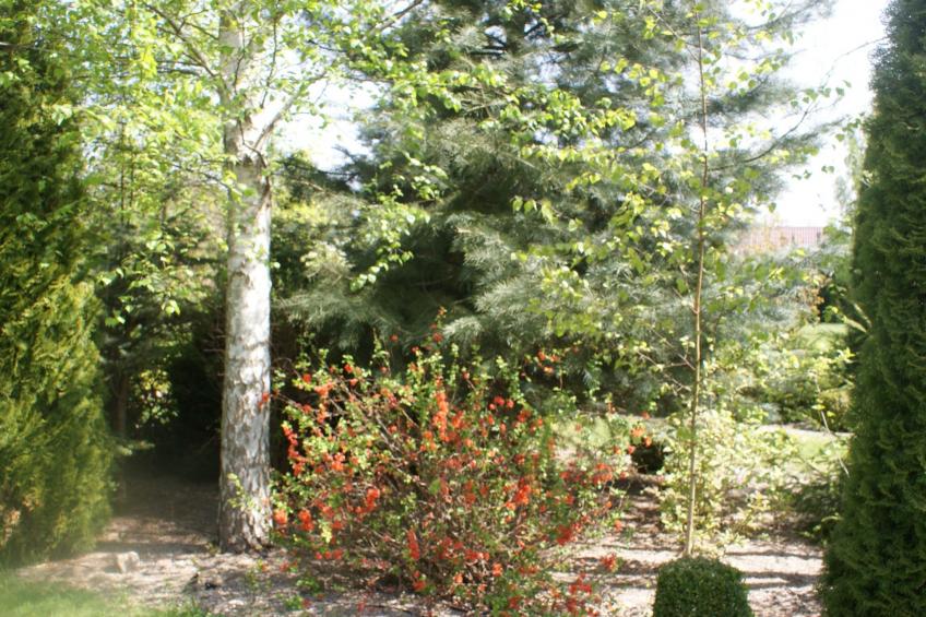 Meeresdorf Stille - Ferienhäuser in den Gärten von Magra - foto 31