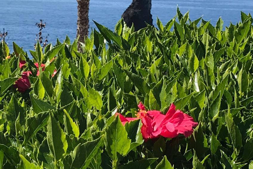 mit Blick auf das Wasser - foto 27