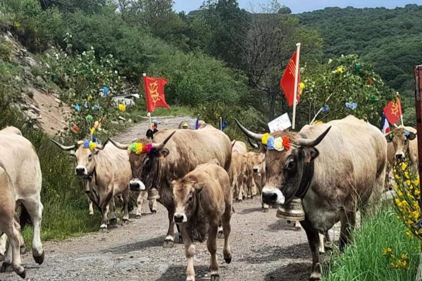 Gîte de France Bon aubrac pour 12 personnes 2 épis - foto 55