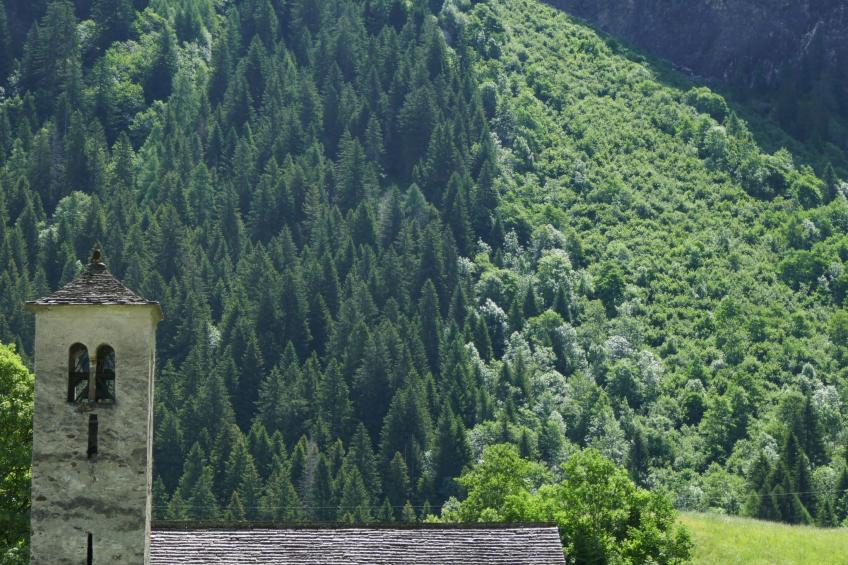 Prou Forestside - foto 24