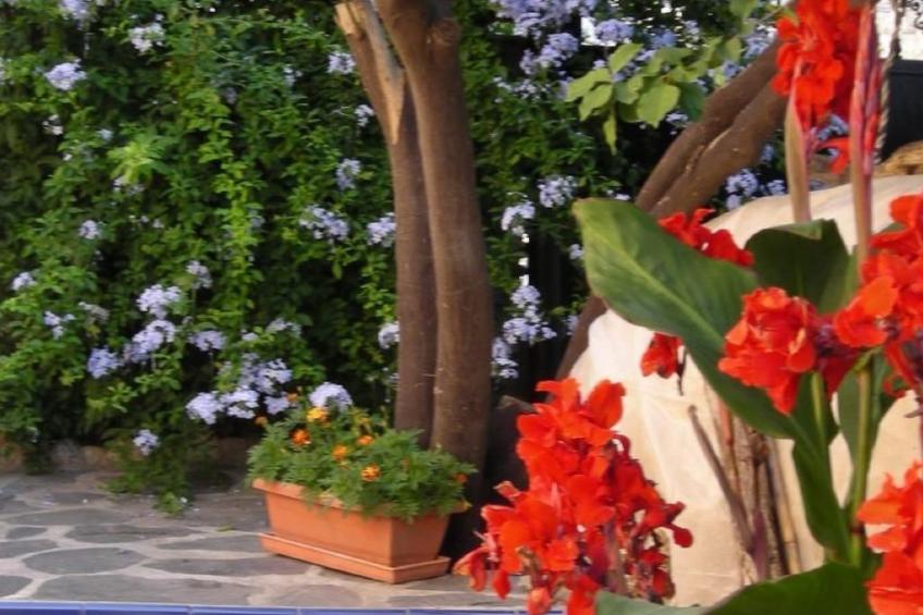 Gemütliches Ferienhaus in Tíjola mit Grill, Garten und Terrasse - foto 16