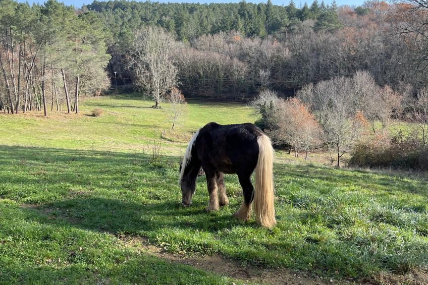 Le Mas dAmour - foto 53