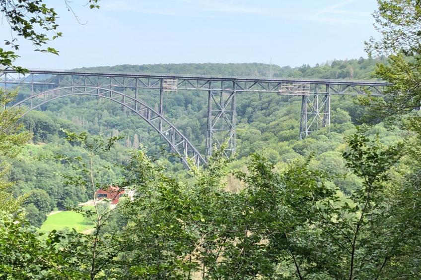 Gartenblick - foto 31