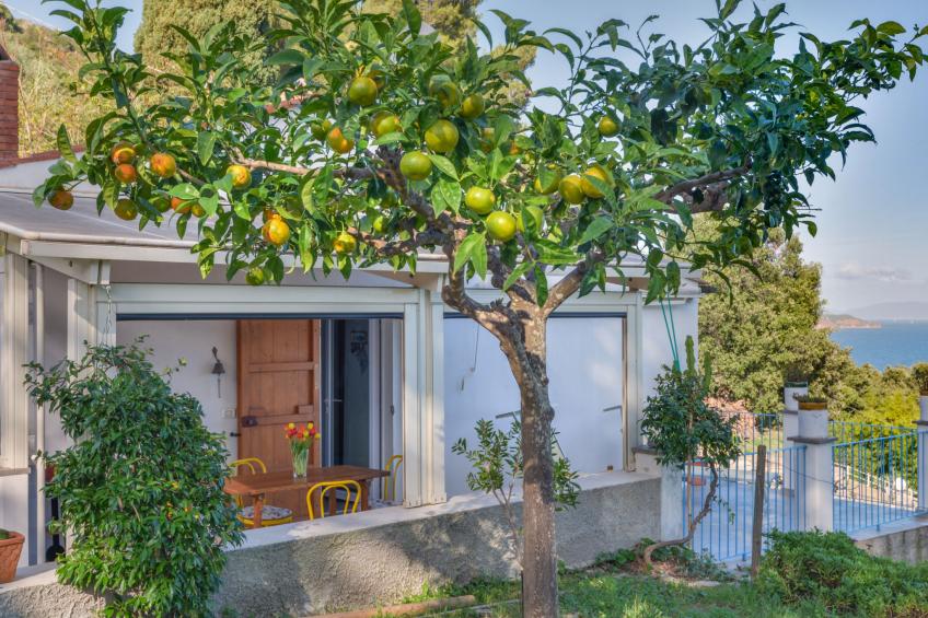 Casina Solu - foto 4