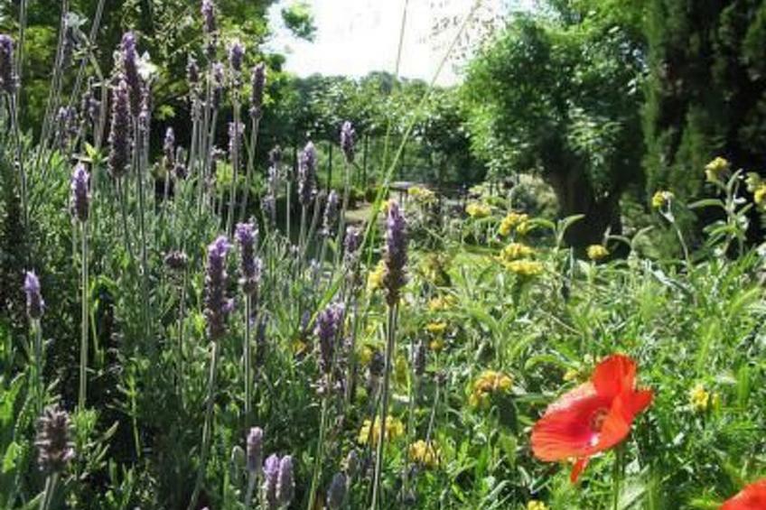 Casa Desiderio - foto 17