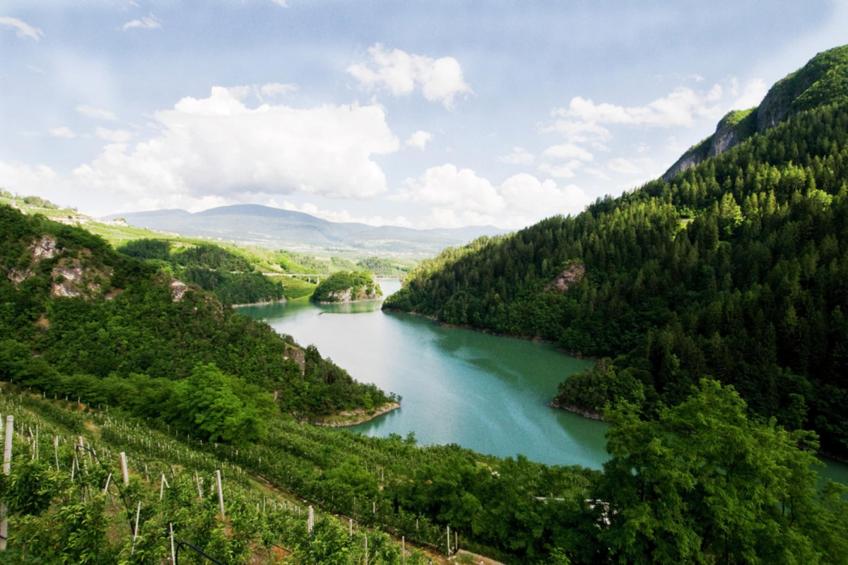 Renetta Mansarda - foto 19