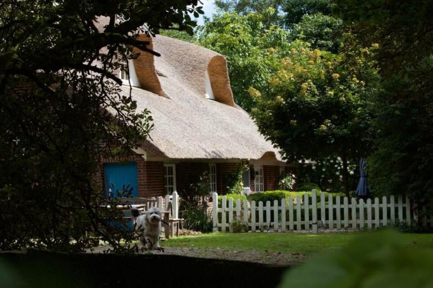 Traumhaftes Reetdachhaus an der Nordsee - foto 30