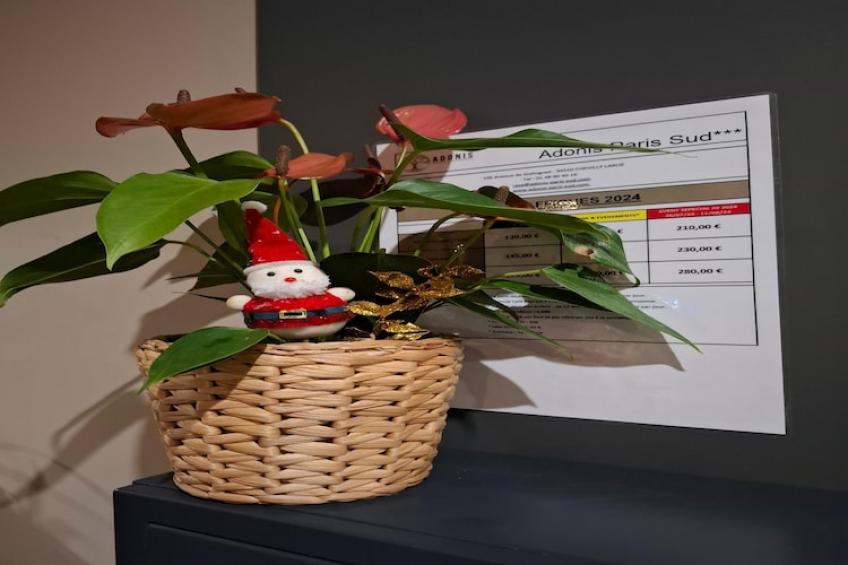 Adonis Paris Sud Studio Twin - foto 22