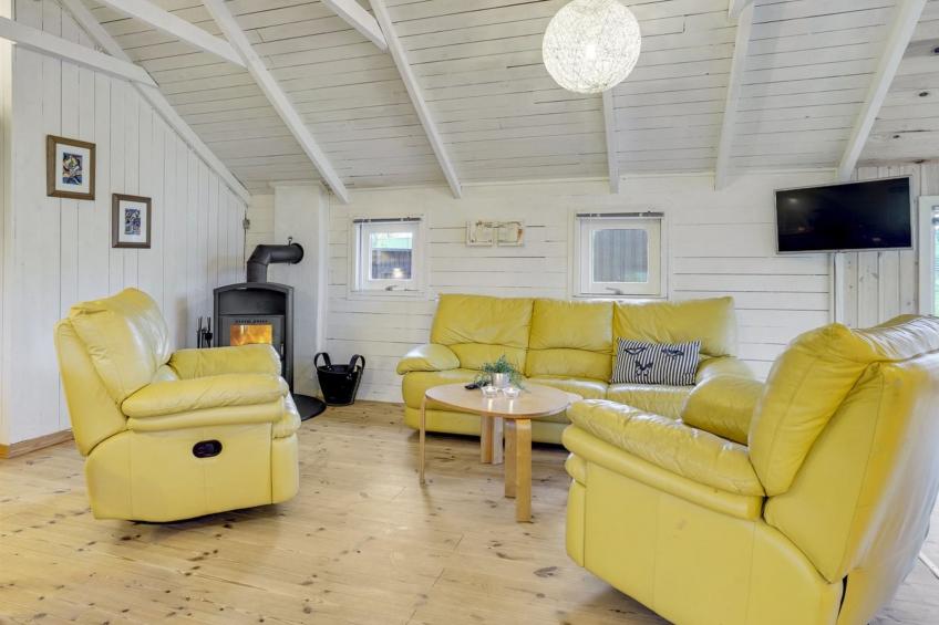 "Tameran" - 700m from the sea in NW Jutland - foto 3