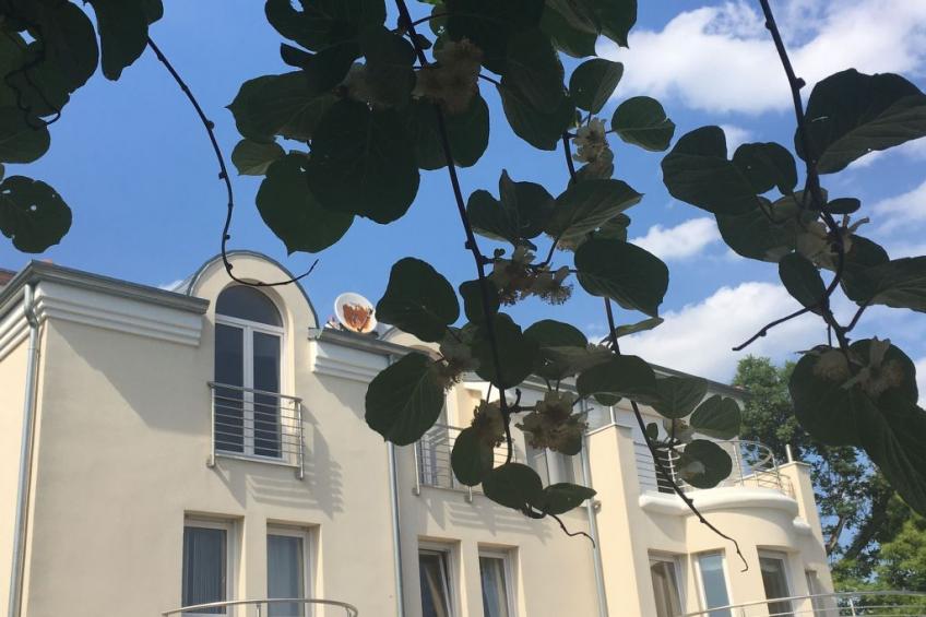 mit Terrasse - foto 13