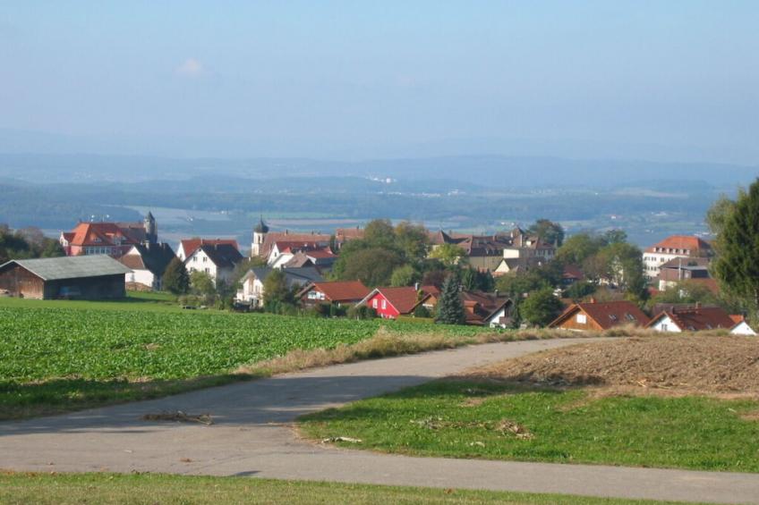 16799 - foto 28
