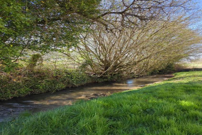 Ferme Remy - foto 41